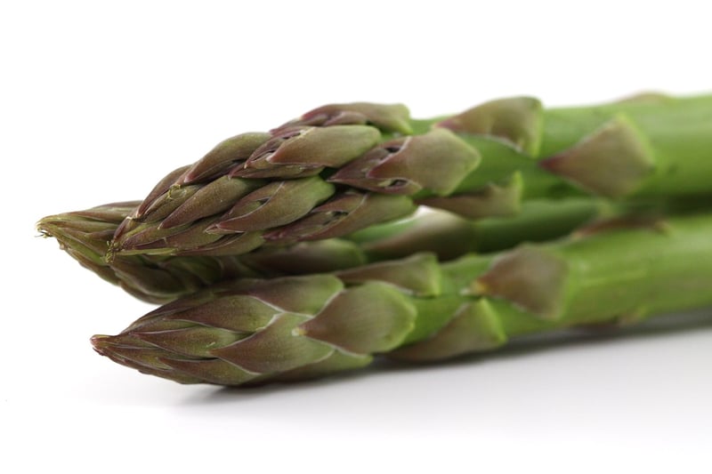 Plant-Based Dining